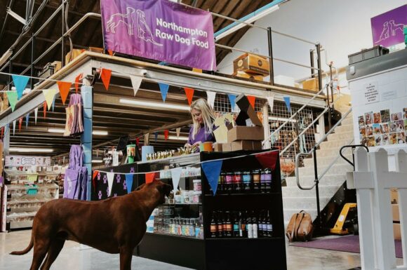 Northampton Raw Dog Food shop with dog standing near counter
